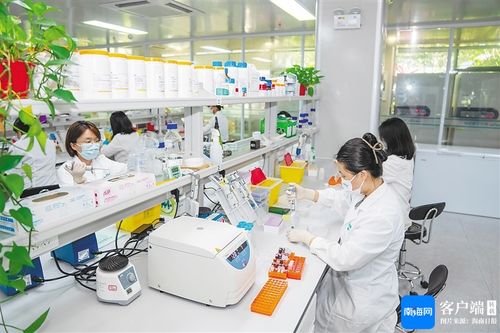 三亞崖州灣科技城開發(fā)建設(shè)5年來累計招引企業(yè)破萬家