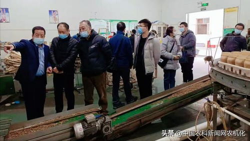 陜西省食用菌產(chǎn)業(yè)技術(shù)體系專(zhuān)家走進(jìn)眾興高科