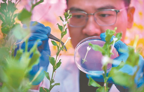 科大硅谷用 新 謀發(fā)展